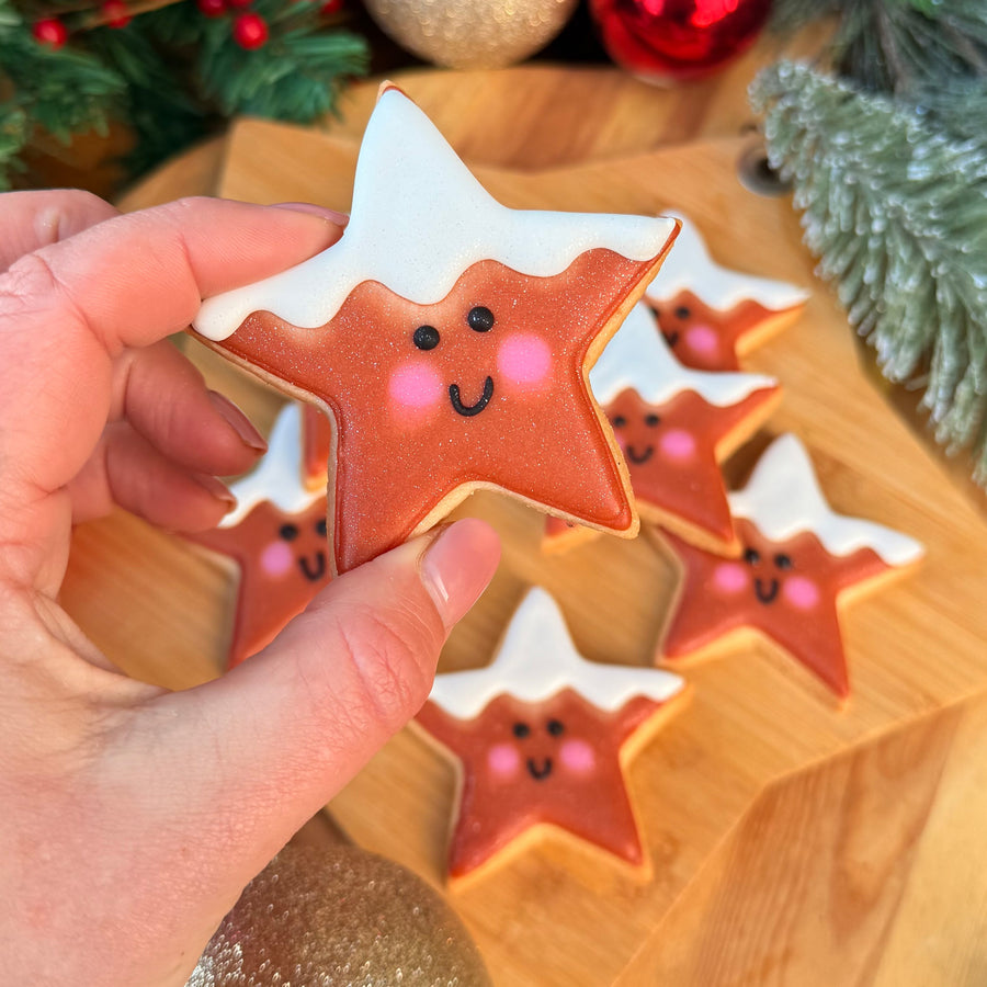 Gingerbread Stars Sugar Cookie Gift Bag (GF/N)