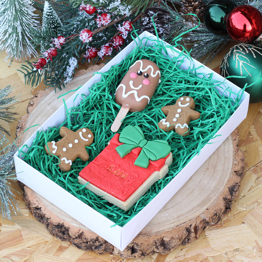 Christmas Small Treat Box (GF/N)
